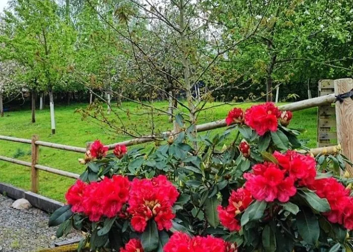 Holiday home Maison Campagne Percy (Manche)