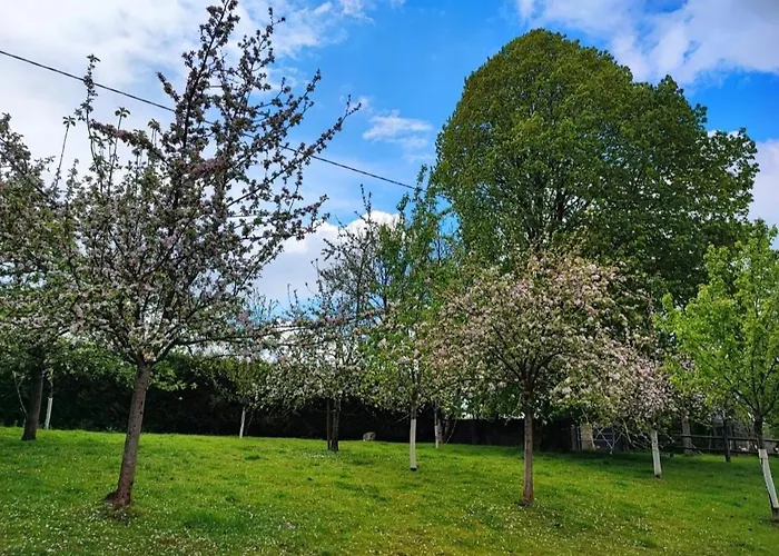 Maison Campagne Holiday home Percy (Manche)